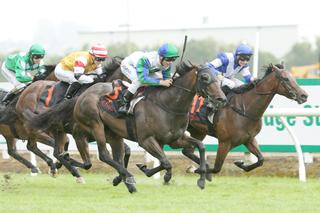 Coldplay (NZ) WINS the $100,000 Group 2 Cal Isuzu Stakes. Photo: Trish Dunell.